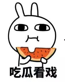 娱乐吃瓜酱晚安蠢蛋