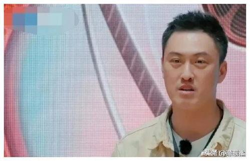 中国娱乐圈吃瓜,揭秘明星们的“瓜田”生活