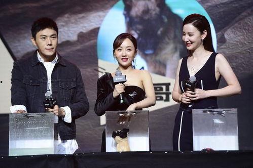 娱乐圈吃瓜爆料每日一推,每日一推，揭秘明星幕后故事