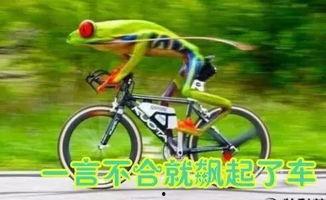 娱乐吃瓜酱自行车